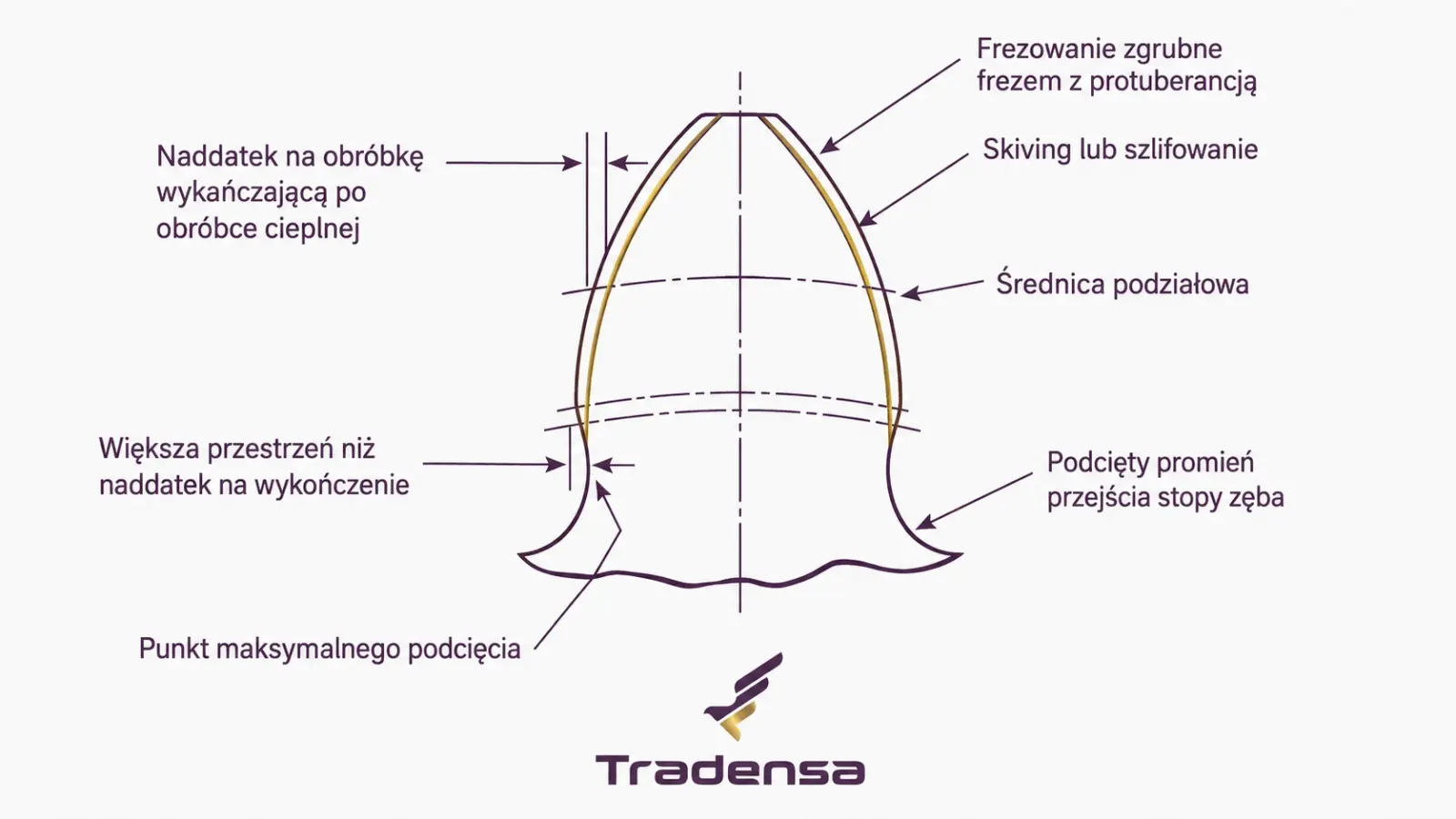 protuberancja-w-obrobce-kol-zebatych-profil-przed-wykanczaniem.webp